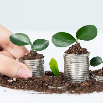 Ilustrasi pembiayaan hijau, green financing.