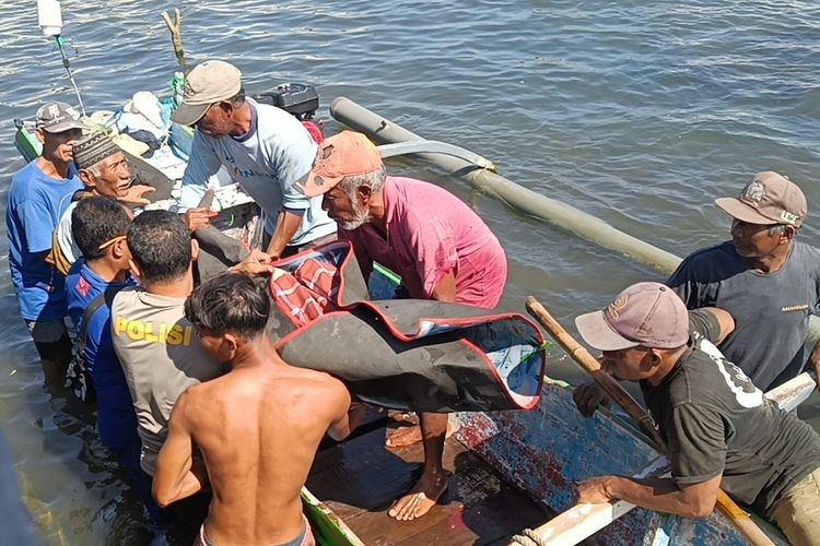 Nelayan Ditemukan Tewas Mengapung di Laut Sumbawa 