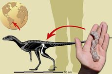 Fosil Nenek Moyang Dinosaurus Tertua dari Amerika Selatan Ini Ungkap Asal Usul Dinosaurus