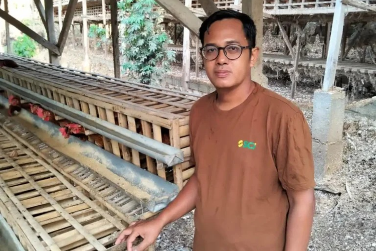 Kini Beromzet Rp 250 Juta dari Ternak Ayam Petelur, Rohmat Ansori Alumnus Unair Tinggalkan Karier di Bank