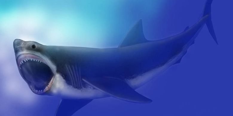 Ilustrasi Megalodon