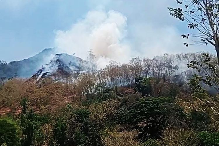 Soal Karhutla, Prabowo: Ada Oknum Sengaja Bakar Lahan, Apakah Ini Sabotase?