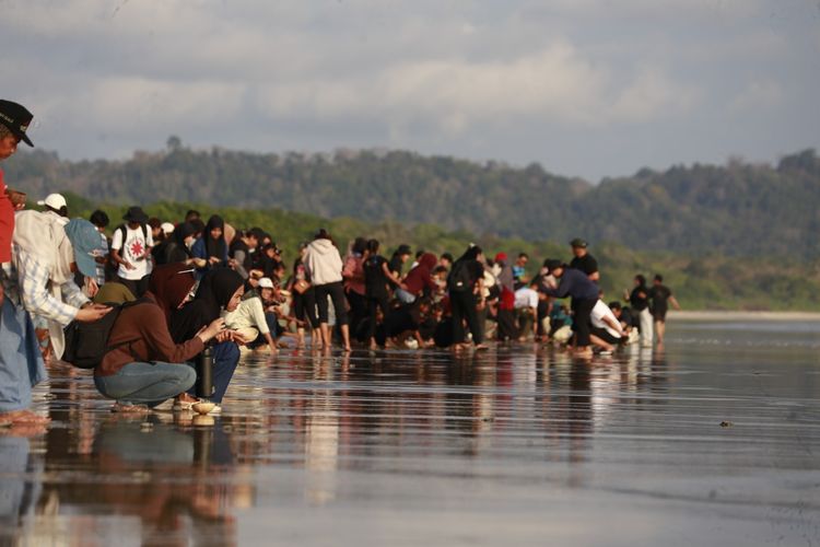 Peringati Kemerdekaan, Balai TN Alas Purwo Lepas 1.945 Tukik dan Genjot Wisata Edukasi Konservasi