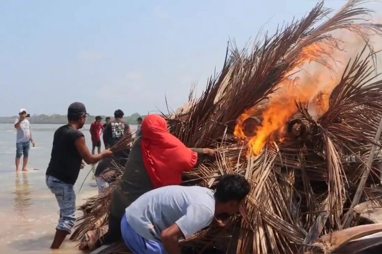 Cegah Bau Busuk, Bangkai Hiu Paus yang Terdampar di Wakatobi Dibakar