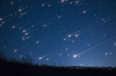 Mentan dan Wakapolri Lepas Pengiriman 827,5 Ton Beras ke 6 Provinsi di Papua