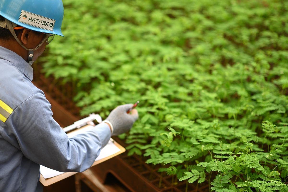 PT Aneka Tambang Tbk (Antam) berupaya melaksanakan good mining practice dan keberlanjutan agar memberikan manfaat positif bagi masyarakat, terutama di sekitar wilayah operasi. 