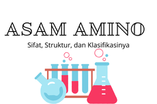 Asam Amino: Sifat, Struktur, dan Klasifikasinya