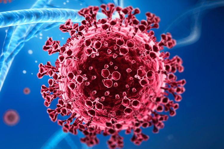 Ilustrasi situasi pandemi dengan kasus Covid-19 yang tidak terkendali bisa menyebabkan mutasi virus dan melahirkan varian baru virus corona seperti yang terjadi di Inggris dan Afrika Selatan.