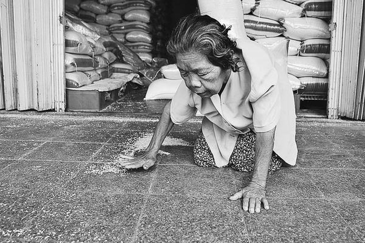 Mengumpulkan butiran beras yang jatuh.