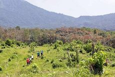 Pemkab Banyuwangi Gelar Ajang Banyuwangi Ijen Green Run