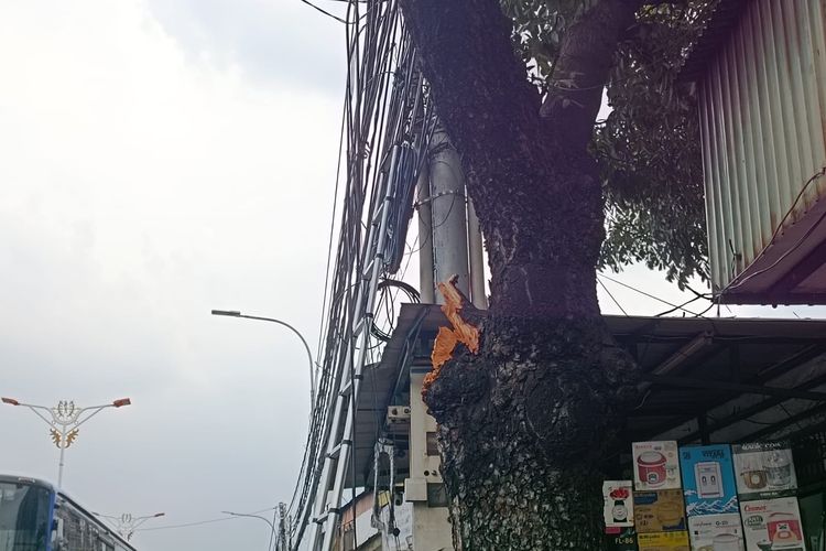 Lokasi dahan pohon patah dan menimpa kepala truk di Jalan Raya Bogor, Kramatjati, Jakarta Timur, Selasa (14/11/2023).
