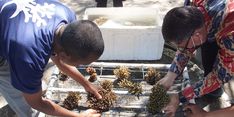 Tingkatkan Kesejahteraan Masyarakat, Kementerian KP Gelar Pelatihan “Nilai Tambah Ikan dan Produk Perikanan”