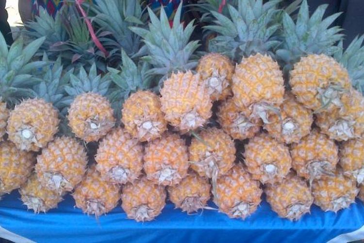 Nanas Madu dari Kecamatan Belik, Kabupaten Pemalang