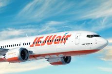 Cerita Penumpang yang Selamat dari Kecelakaan Pesawat Jeju Air di Korea Selatan