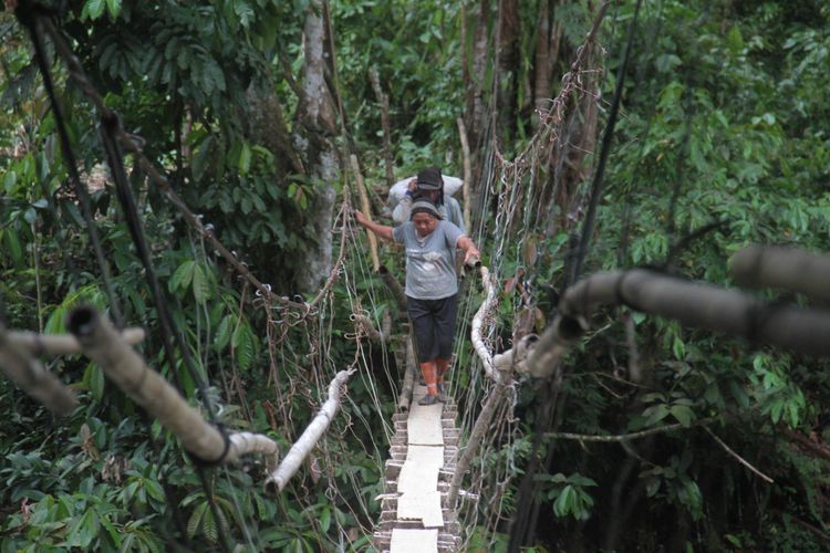 Tolak Klaim Cagar Alam, Ketua Adat Serawai: Tidak Ada Hutan Negara, Itu Hutan Kami