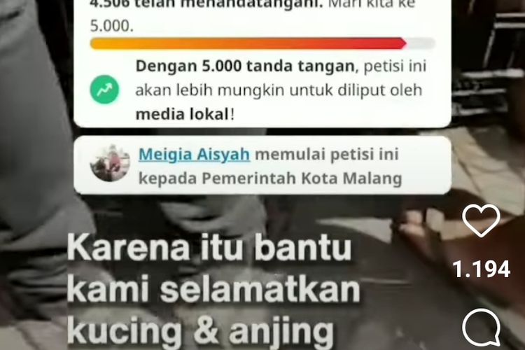 Pasar Splendid yang berada di Kota Malang, Jawa Timur viral setelah adanya petisi di laman change.org untuk menyelamatkan kondisi kucing yang diperjualbelikan secara tidak layak. 