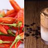 [POPULER TRAVEL] Cara Simpan Cabai | Kafe yang Jual Dalgona Coffee