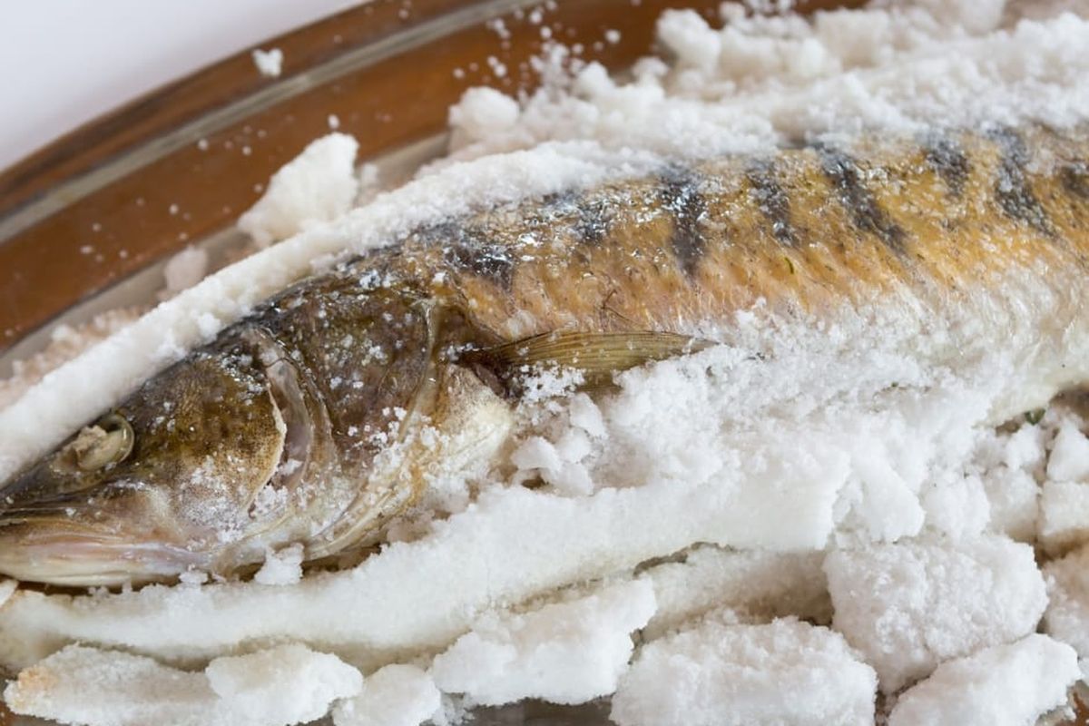 Ilustrasi Proses Penggaraman Ikan Menggunakan Garam Dapur