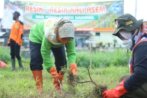 Nasib Sungai Asem, Tempat Bermain Masa Kecil Wakil Bupati Lumajang, Kini 70 Persen Daratan