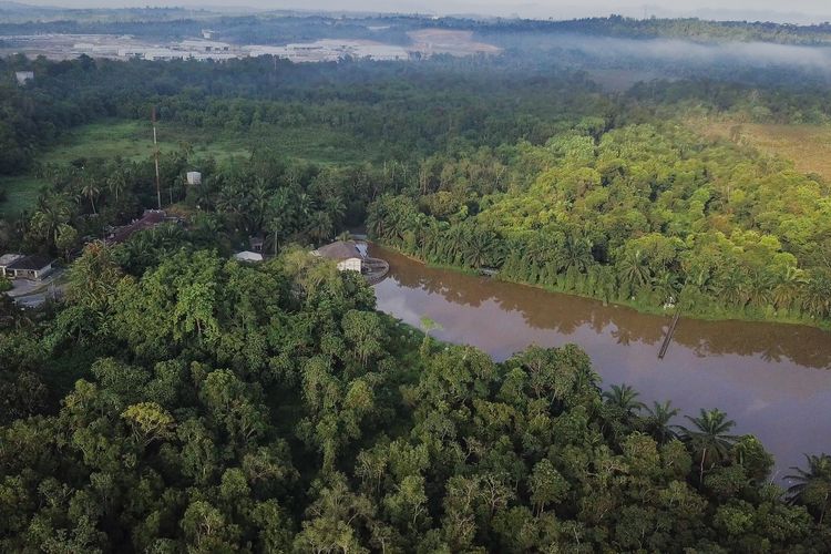 Hutan Lindung Sungai Wain, Kalimantan Timur.