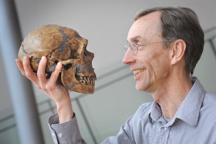 Gambar selebaran tak bertanggal yang dirilis oleh Max-Planck-Institute for Evolutionary Anthropology ini menunjukkan ahli paleogenetik Swedia Svante Paabo berpose di Leipzig. Ahli paleogenetik Swedia Svante Paabo, yang mengurutkan genom Neanderthal dan menemukan hominin Denisova yang sebelumnya tidak diketahui, memenangkan Hadiah Nobel Kedokteran 2022 pada Senin (3/10/2022). (