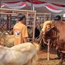 547.590 Hewan Bakal Disembelih, Jateng Punya 95 RPH dan 669 TPH Bersertifikasi Halal untuk Potong Hewan Kurban