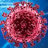 Mutasi Virus Afrika Selatan Lebih Mengkhawatirkan, Mungkinkah Vaksin Covid Efektif?