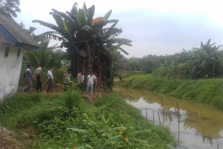 Prosesi pemakaman jenazah Bripka Anina yang ditemukan tewas di Sungai Telunanan, tepatnya di Dusun 1, Desa Tanjung Kerang, Kecamatan Babat Supat, Kabupaten Musi Banyuasin, Sumatera Selatan, Jumat (25/9/2020).