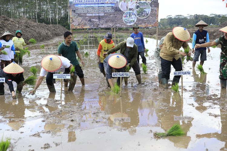 Kegiatan cetak sawah rakyat jadi momentum penting dari dimulainya gerakan menanam padi di lokasi-lokasi cetak sawah.