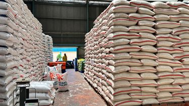 Stok Beras Melimpah, Stafsus Mentan: Kita Kesulitan Menyimpan...