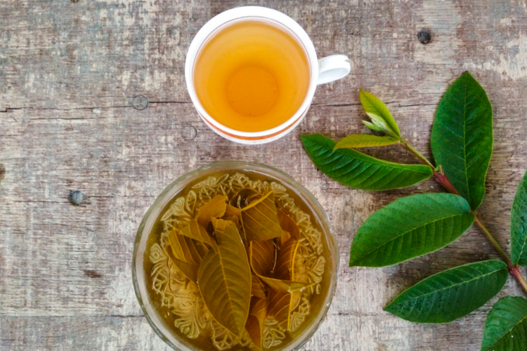 Ilustrasi teh daun jambu biji untuk jadi obat kuat alami