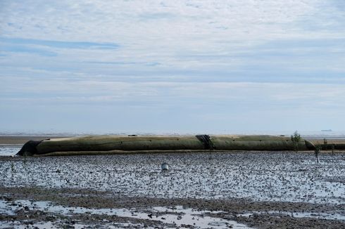 Mengenal Geobag, Material Pelindung Pesisir Pantai dari Abrasi