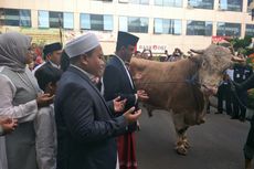 Anies Kurban Sapi 1,2 Ton untuk Masjid Fatahillah Balai Kota DKI