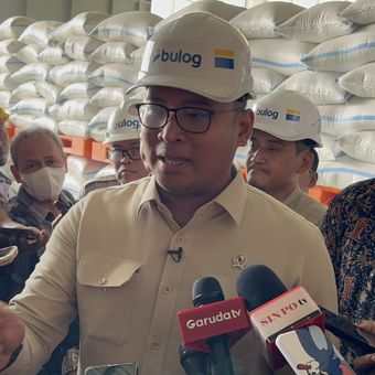 Wamentan RI Sudaryono ketika meninjau saat sentra penggilingan padi Perum Bulog di Pangulah Utara, Kota Baru, Karawang, Jawa Barat, Kamis (15/5/2025).