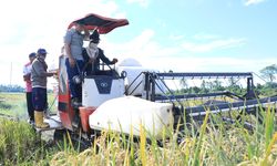 Genjot Produktivitas Pertanian Lewat 