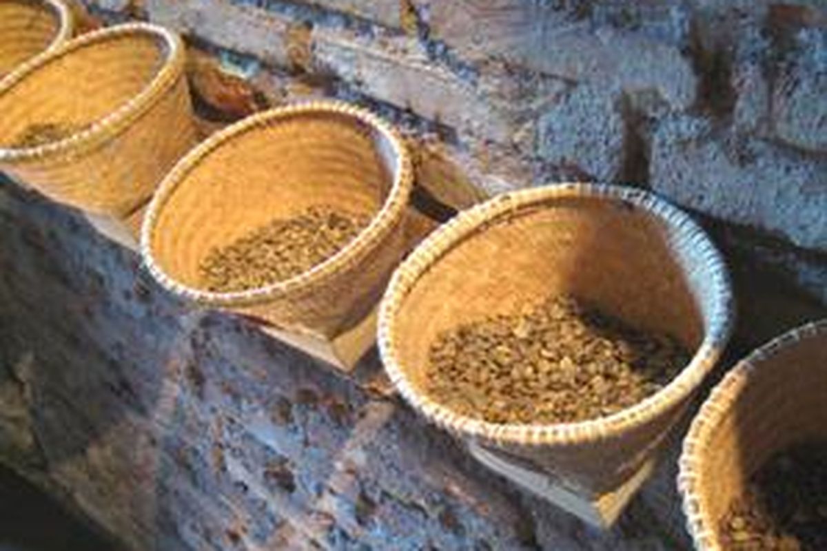 Ragam biji-biji kopi mentah di Anomali Coffee. 