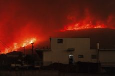 Kebakaran Hutan di Yunani, 18 Orang Tewas