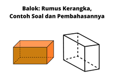 Balok: Rumus Kerangka, Contoh Soal dan Pembahasannya