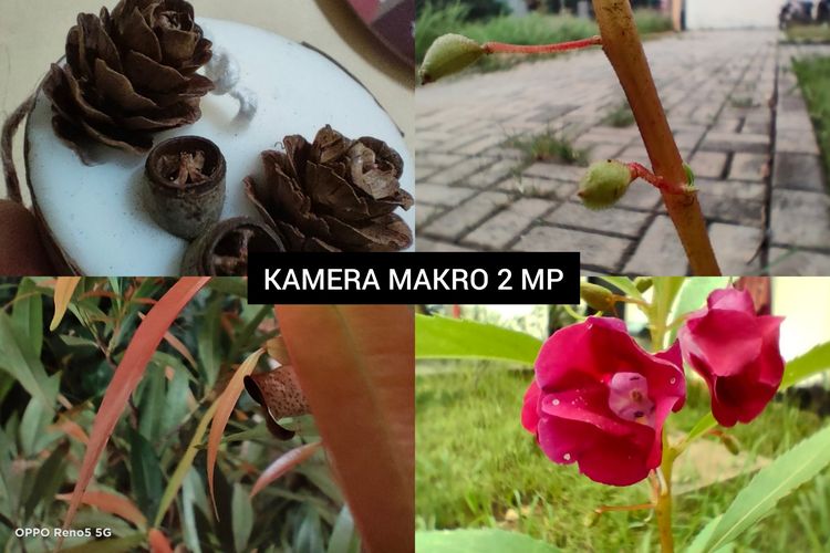 Hasil foto kamera makro 2 MP pada Oppo Reno5 5G. Bisa dilihat bahwa obyek yang dibidik tampak terlihat cukup tajam meski dibidik dari jarak sekitar 4 cm. Obyek-obyek kecil, seperti semut, debu, dan lain sebagainya juga masih bisa dilihat di gambar tersebut. Meski demikian, warna yang ditampilkan kurang begitu sesuai dengan obyek aslinya. Obyek juga terkadang sulit untuk dibidik karena kamera ini belum mempunyai fitur autofocus. 