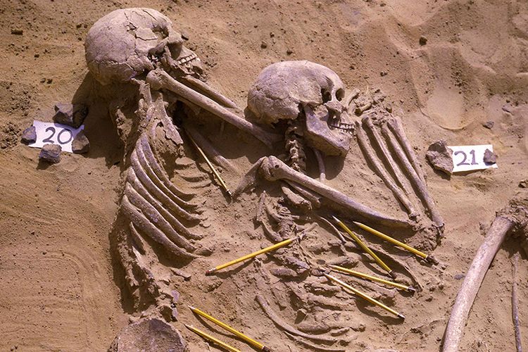 Kerangka di situs pemakaman kuno, Jebel Sahaba, di Lembah Sungai Nil. Studi ungkap perubahan iklim menjadi pemicu perang tertua yang terjadi kawasan ini.