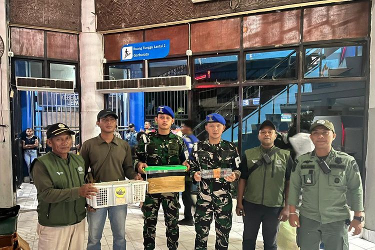 TNI AL Gagalkan Penyelundupan Delapan Ekor Burung Langka di KM Gunung Dempo