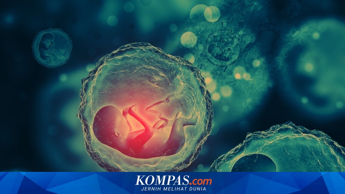 Hati-hati, Embrio yang Bermasalah Bisa Sebabkan Ibu Hamil Keguguran
