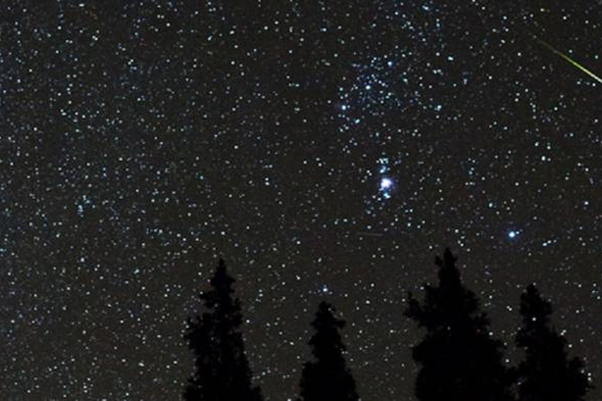 Hujan meteor Orionid pada 21 Oktober 2012 seperti diabadikan astrofotografer Daniel McVey.