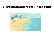 6 Perbedaan antara Pesisir dan Pantai