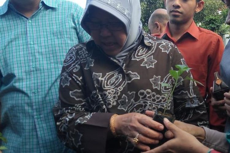 Risma membagikan bibit cabai kepada warganya di balai kota Surabaya, Minggu (19/2/2017)