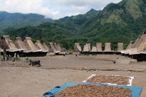 Inilah Kampung Adat Gurusina, Tempat Musik Bombardom Raih Rekor Muri