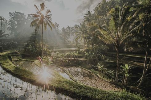 Work from Bali, Gaya Hidup Pengembara Digital, dan Kesiapan Destinasi