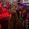 Video Viral Band Black Metal Hibur Tamu Resepsi Pernikahan di Sleman