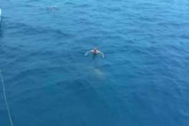 Di dalam video itu terlihat Dmitry sedang berenang ke arah perahu tempat kamera yang mengarah kepadanya. Tak berselang lama, muncul bayang-bayang ikan dari sisi kanannya. 