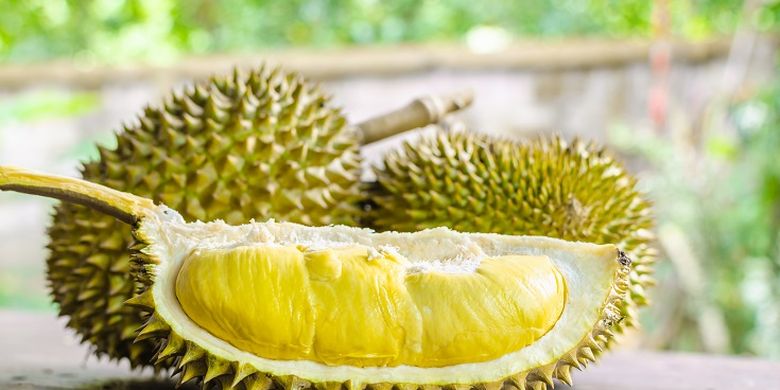 7 Cara Memilih Durian Yang Sudah Matang Manis Dan Banyak Daging Halaman All Kompas Com 7 Cara Memilih Durian Yang Sudah Matang Manis Dan Banyak Daging Halaman All Kompas Com